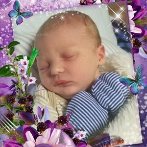 Meet your Posher, Terry